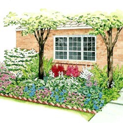 Garden, Foundation Shade Plan - Professional Gardening Tips